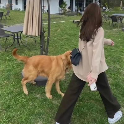 墨城谜案